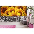 Fototapeta na flizelinie MP-2-0129 HELIANTHUS