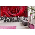Fototapeta na flizelinie MP-2-0138 RED ROSE