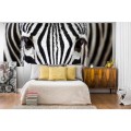 Fototapeta na flizelinie MP-2-0234 ZEBRA