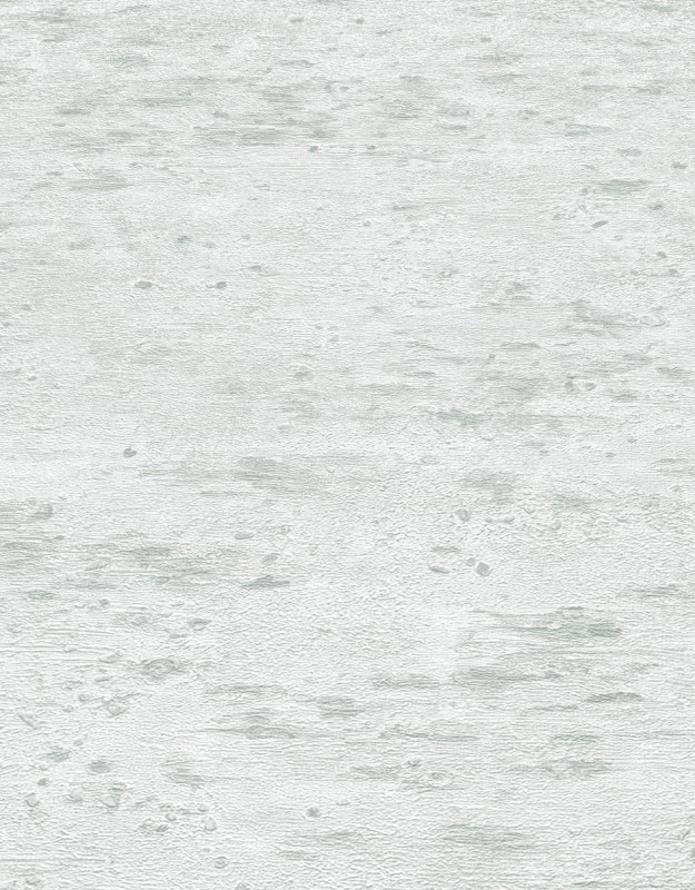 TAPETA 10296-43 FOCUS