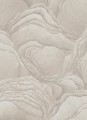 TAPETA 10298-14 FOCUS