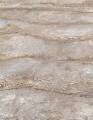 TAPETA 10299-32 FOCUS