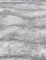 TAPETA 10299-47 FOCUS