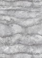 TAPETA 10299-47 FOCUS
