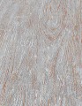 TAPETA 10307-10 FOCUS