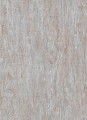 TAPETA 10307-10 FOCUS