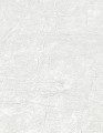 TAPETA 10315-01 FOCUS
