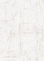 TAPETA 10320-02 EVOLUTION