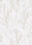 TAPETA 10321-02 EVOLUTION