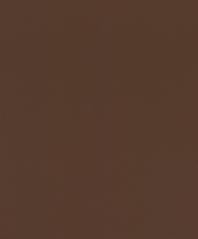 TAPETA 752663 AFRICAN QUEEN III