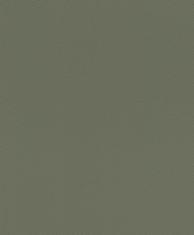 TAPETA 752687 AFRICAN QUEEN III