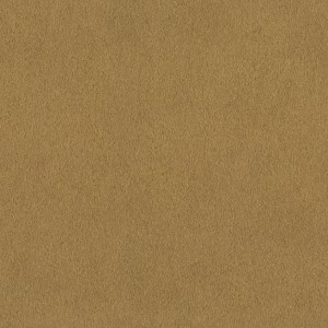 TAPETA 751031 AFRICAN QUEEN III