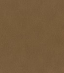 TAPETA 751079 AFRICAN QUEEN III