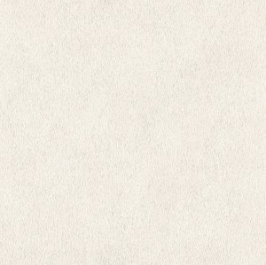 TAPETA 423204 AFRICAN QUEEN III