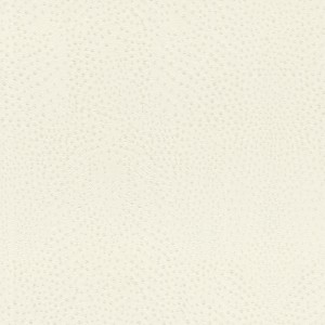 TAPETA 751536 AFRICAN QUEEN III