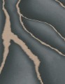 01012016d0a8960c505b00c541ea0461