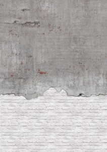 FOTOTAPETA MURAL ŚCIENNY 364279 MAGIC WALLS