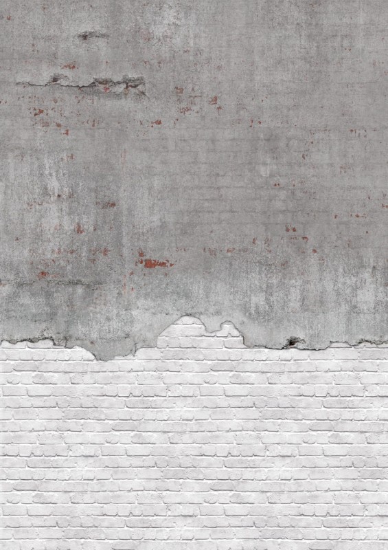 FOTOTAPETA MURAL ŚCIENNY 364279 FACTORY V