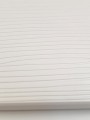 20230227_115232.jpg