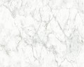 TAPETA 36157-3 NEUE BUDE 2.0/MATERIALS/BLACK&amp;WHITE 4