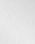 TAPETA 5336-01 ROLLOVER COLLECTION