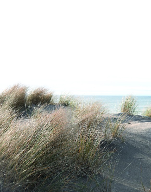 Mural 47219 Smart Art EASY