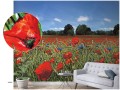 Mural 47273 Smart Art EASY