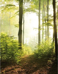 Mural 47221 Smart Art EASY