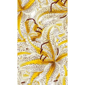 Mural 46715 SAYURI Smart Art Aspiration