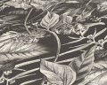 Tapeta 39425-2 Drawn into Nature