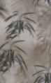 TAPETA 219540 BN Dimensions