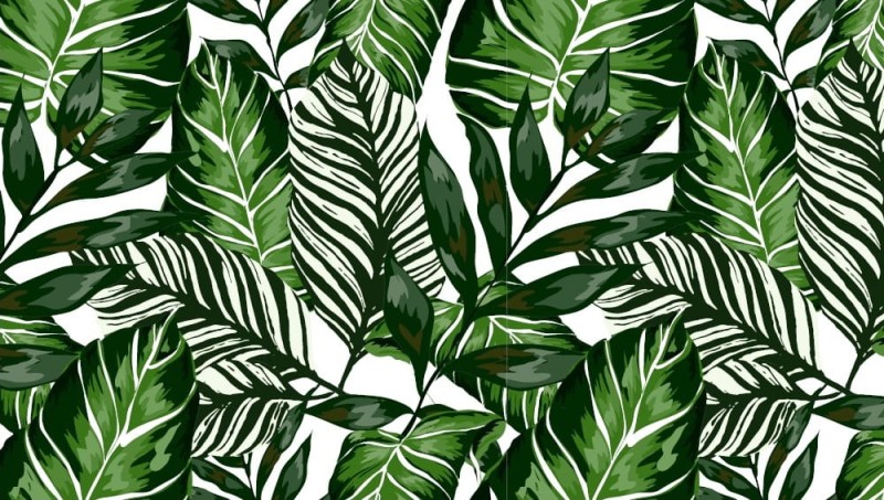 Okleina Meblowa 55789 Venilia HOUSE PLANTS szer 45 cm