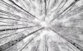 d5cd3041e6956e29d0edb168ac647177