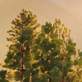 6b2e78432198dda86667aacbf90bd087