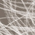 eb26eec2d5ca109378778a59a50e255d