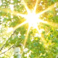 a9ae23ffc489f74420afa8968ead1585