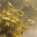 Fototapeta na Flizelinie X8-1084 Rio de Luz