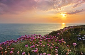 Fototapeta na Flizelinie X8-8901 Land´s End