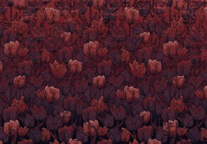 Fototapeta na Flizelinie HX8-051 Tulipe