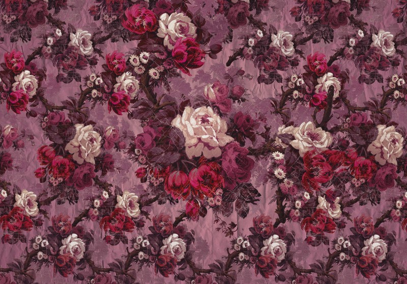 Fototapeta na Flizelinie HX8-062 Magnifique