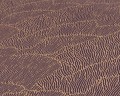 a228645e32bfe8180315f569f1748100