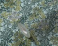 d26ecc9fe3a5af410164ef62dcbfb7b6