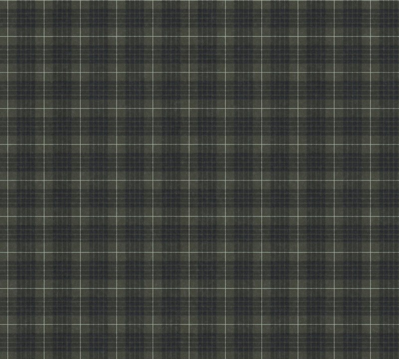 a48618b0991b8f98a998c071cfe90911