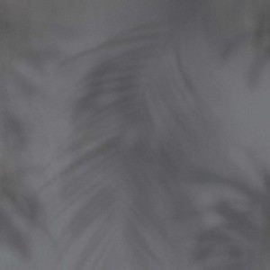 TAPETA 219552 BN Dimensions