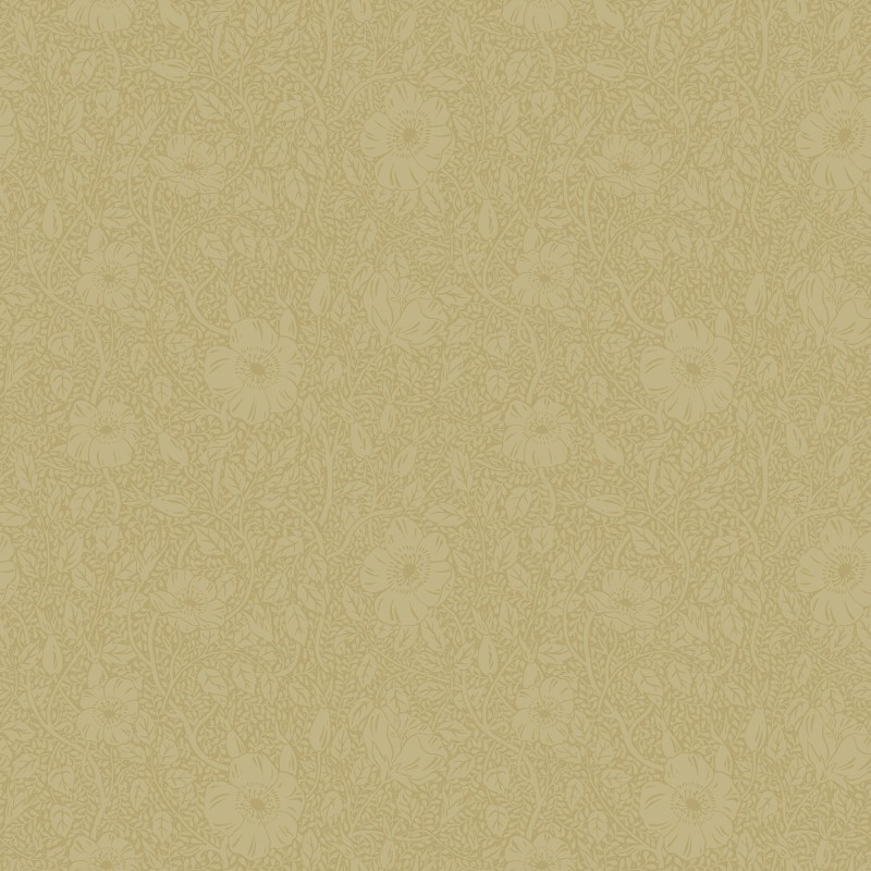 6268069a600b9dce020a09cb37b58bc6