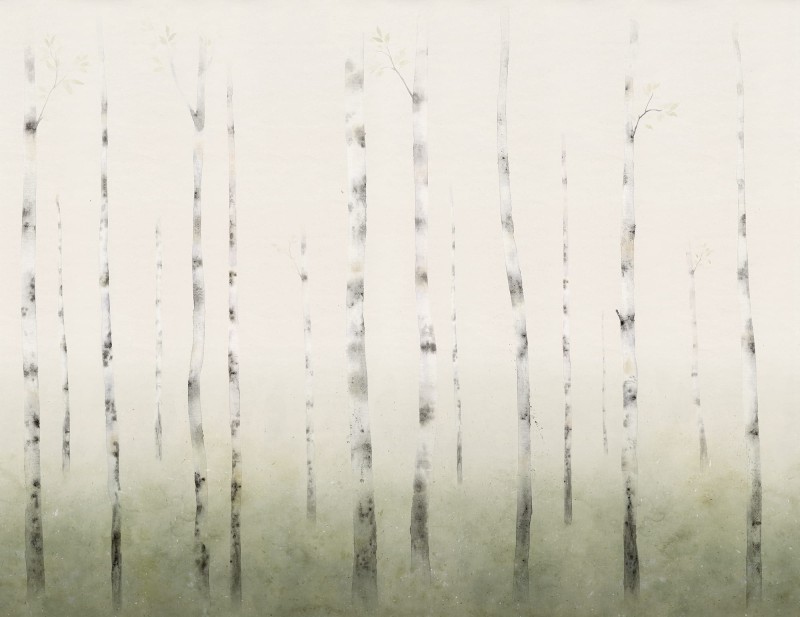 97fe39018da1adf15d7c466e81e5dcfc