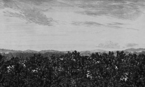 MURAL 658-31 Löfstad - Oak view graphite