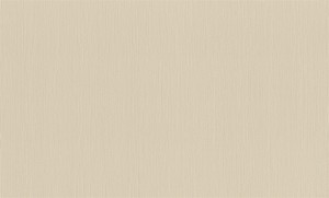 TAPETA 968576 WALL TEXTURES XL