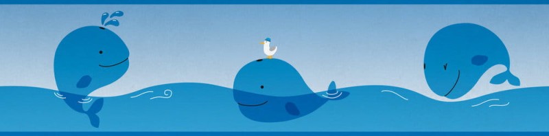 221116c65b9a4eff4fa7fb2a8246a69d