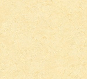 Tapeta 9925-36 Styleguide Naturlich